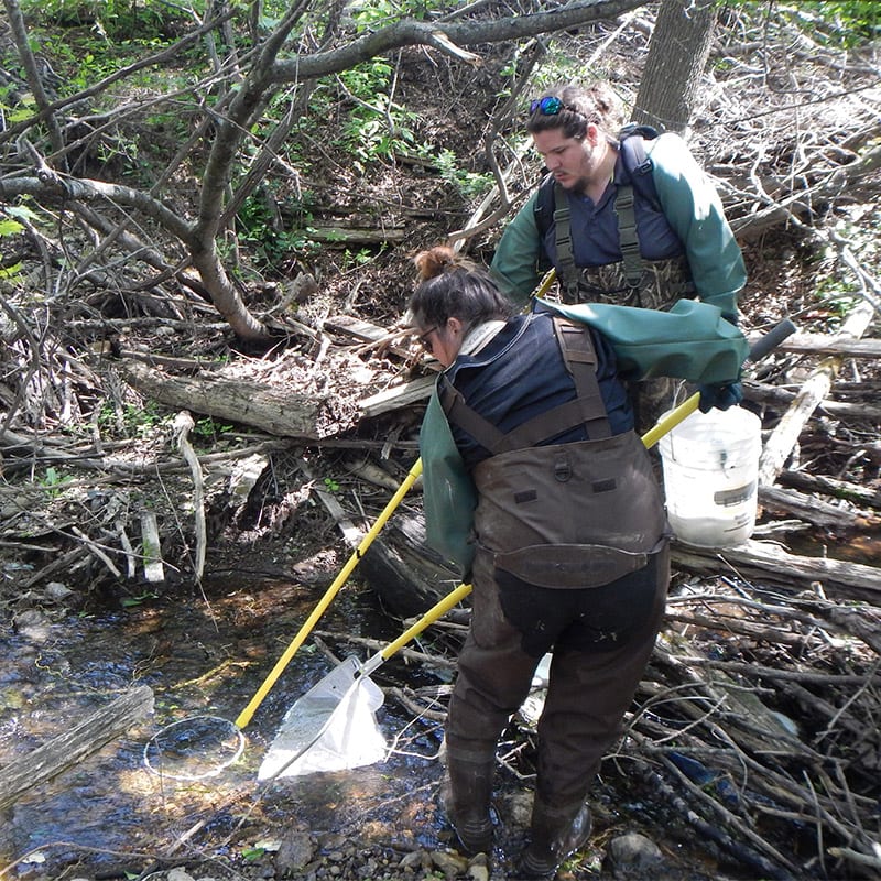 Two AOFRC team members electrofishing