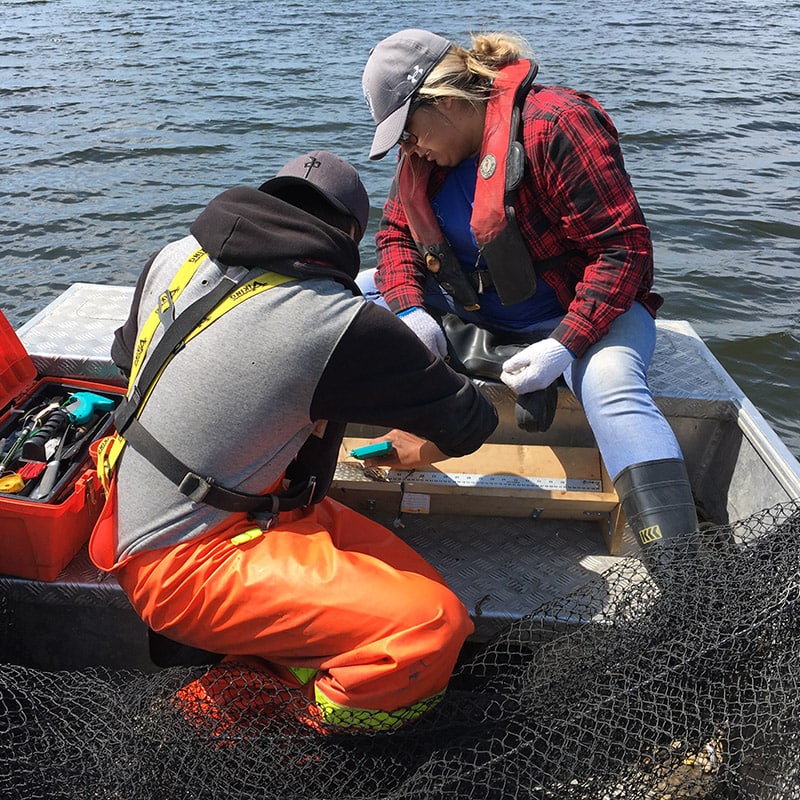 Two AOFRC personnel sampling in a boat
